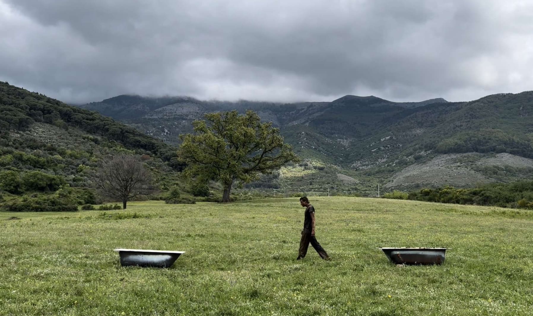 The Cleansing - Detail