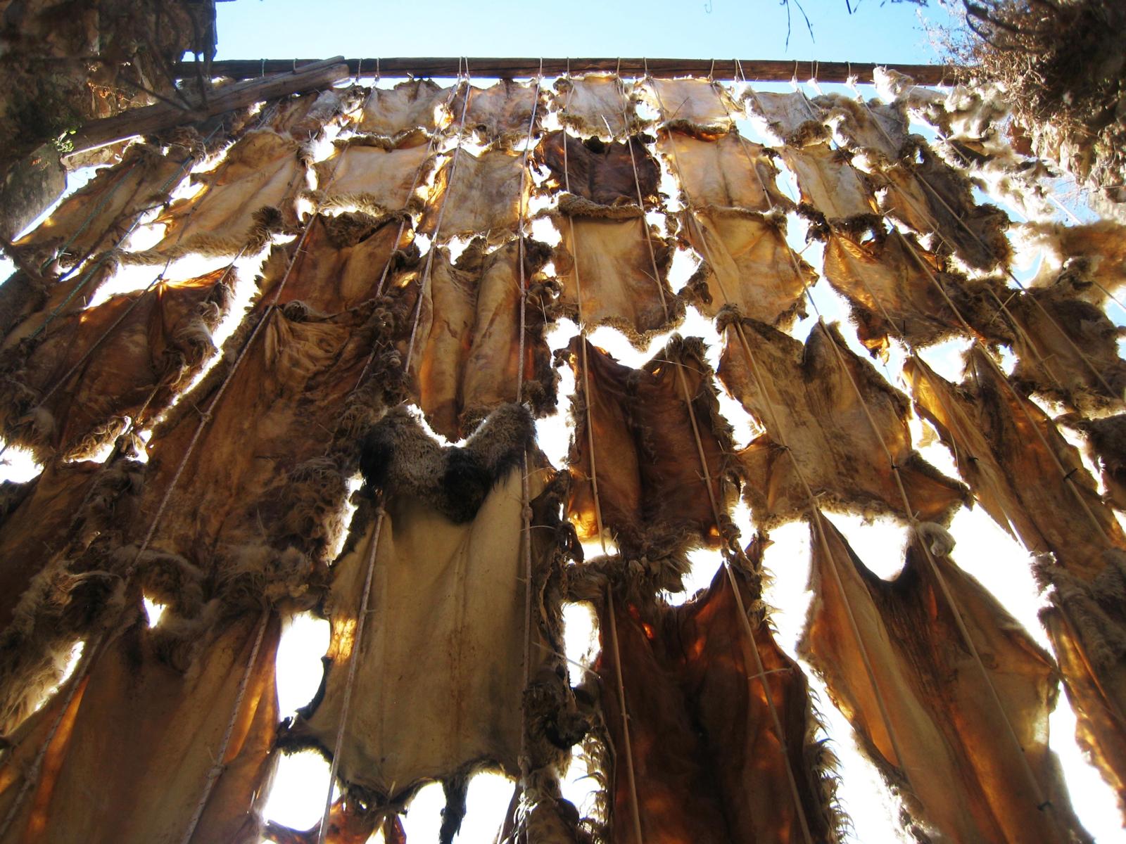 Warmth - Detail view